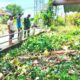IMG 20260217 WA0016