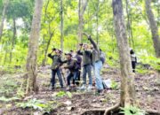 Tak Disangka, Puluhan Anggrek Langka Tumbuh di Hutan Jati Bojonegoro