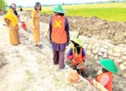 Air Lancar Panen Stabil, Strategi Pemkab Bojonegoro Dongkrak Produktivitas Petani