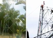 Berdiri di Lahan Perangkat Desa, Pembangunan Tower di Tuban Picu Polemik