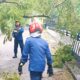 IMG 20260225 WA0006