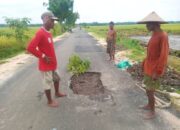 BKKD Jalan Aspal Rp2 Miliar di Ngampal Sumberrejo Bojonegoro Rusak Sebulan Usai Dikerjakan, Audit Diminta Bongkar Total