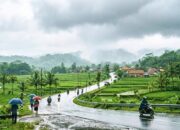 Prakiraan Cuaca Terbaru Bojonegoro: Angin Menguat Siang Hari