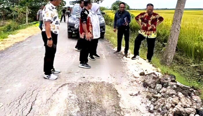 Proyek BKKD Ngampal Sumberrejo Bermasalah, Pemkab Bojonegoro Bertindak Tegas