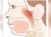 Hidung Ternyata Sistem Peringatan Dini Tubuh, Ini Risikonya Jika Rusak