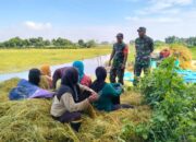 TNI Hadir di Tengah Petani, Sarirejo Lamongan Siap Musim Tanam Baru