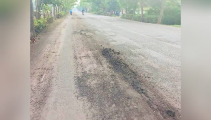 Viral, Gundukan Tinggi di Jalan Bojonegoro–Babat Picu Kecelakaan