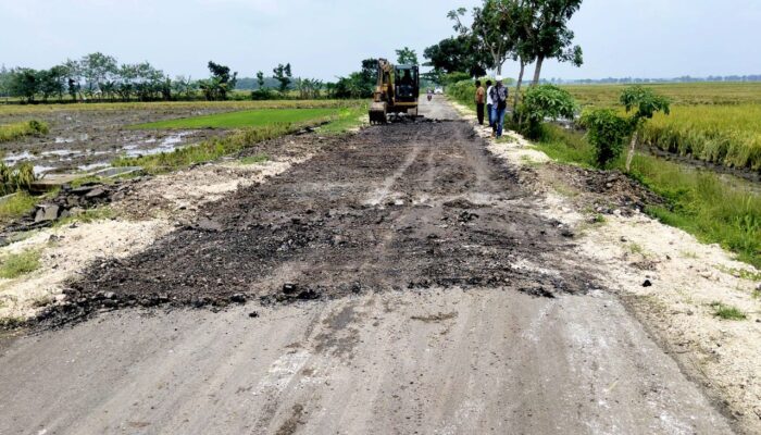 Proyek BKKD Desa Ngampal Bojonegoro Bermasalah, Dari RAB hingga Pola Lelang Dipertanyakan