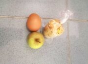 Viral Keluhan Wali Murid di Tikusan Bojonegoro: Mana Nasinya, Makan Bergizi Gratis Tapi Menu Minim