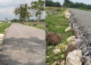 Proyek BKKD Jalan Margoagung Bojonegoro, Timlak dan Pemdes Bungkam Terkait Mutu Aspal