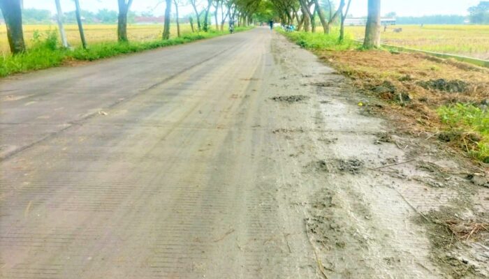 Keluhan Lama Warga Bojonegoro: Jalan Licin Bekas Combine Picu Kecelakaan di Lengkong Balen