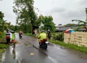 Pohon Jati Tumbang di Ardirejo, Polsek Sambeng Lamongan Gerak Cepat Evakuasi