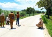 Bukan Main, Jalan Beton dan Aspal Sepanjang 20.000 Meter Kelar Dibangun di Kedungadem Bojonegoro