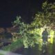 IMG 20260311 WA0005