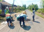 Pemkab Bojonegoro Gerak Cepat, Jalan Alternatif Kini Lebih Aman dan Terang