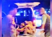 Gagal Salip Jadi Penyebab Laka di Jalan Jaksa Agung Lamongan