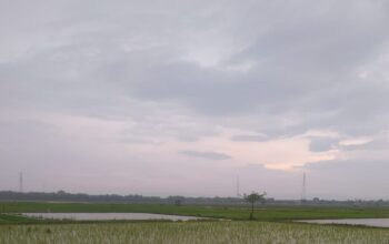 IMG 20260327 WA0011