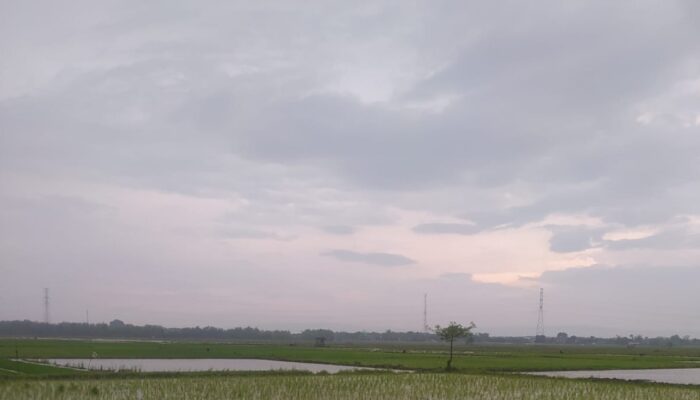 Cuaca Bojonegoro Hari Ini: Pagi Cerah Berawan, Siang Hujan
