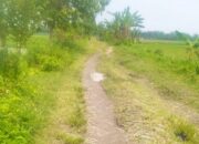 Bertahun-tahun Rusak, Jalan Penghubung Antar Desa di Baureno Bojonegoro Tak Kunjung, Diperbaiki