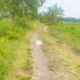IMG 20260327 WA0015