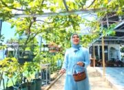 Liburan Seru Sekaligus Belajar, Mina Agro Tlogorejo Bojonegoro Jawabannya