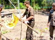 Tower Bendo Kapas Akhirnya Kantongi PBG, Satpol PP Bojonegoro Buka Blokir