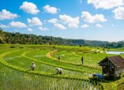 BMKG Beberkan Kondisi Cuaca Bojonegoro Hari Ini