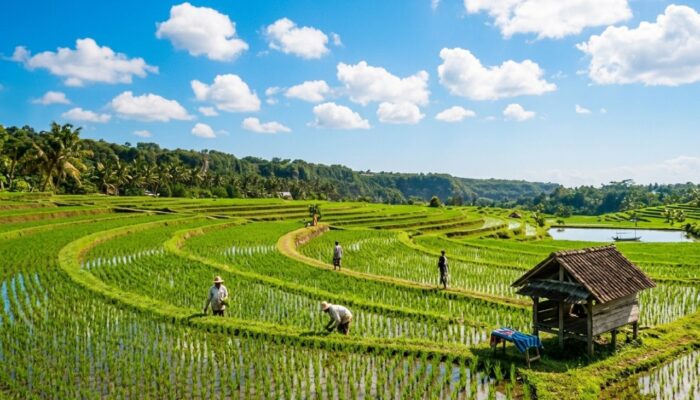 Cuaca Bojonegoro Hari Ini: Cerah Pagi-Siang, Berawan Saat Malam