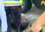 Gudang Selep di Kanor Bojonegoro Dibobol, Dua Pelaku Asal Tuban Tertangkap