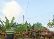 Cuaca Bojonegoro: Panas Siang Hari Malam Berawan