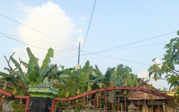 Cuaca Bojonegoro: Panas Siang Hari Malam Berawan