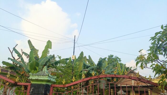 Cuaca Bojonegoro: Panas Siang Hari Malam Berawan