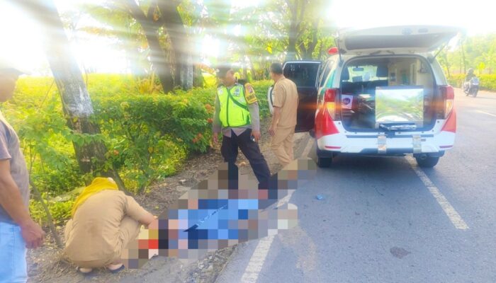 Kain Terlilit Rantai, Motor Terguling di Kalitidu Bojonegoro, 1 Korban Luka