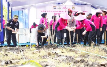 Ketahanan Pangan Digenjot, Hutan di Bojonegoro Mulai Ditanami Jagung dan Ketela