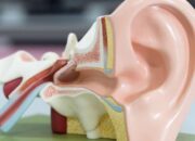 Sering Pakai Headset, Waspada, Ini Batas Aman Agar Tak Kehilangan Pendengaran