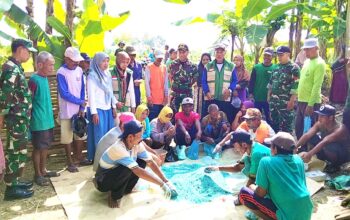 Petani dan TNI Kompak, Gerdal Tikus Serentak di Deketagung Sugio Lamongan