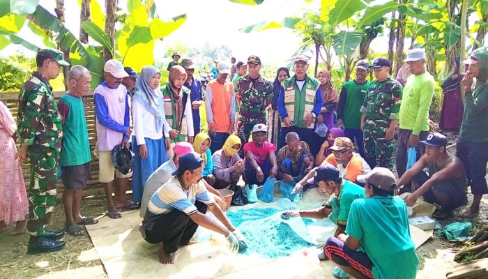 Petani dan TNI Kompak, Gerdal Tikus Serentak di Deketagung Sugio Lamongan