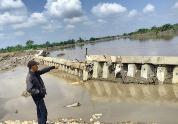 Update BMKG: Siang Ini Bojonegoro Diguyur Hujan Ringan
