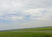 Pagi Cerah Siang Hujan, Ini Prakiraan Cuaca Bojonegoro 27 April 2026