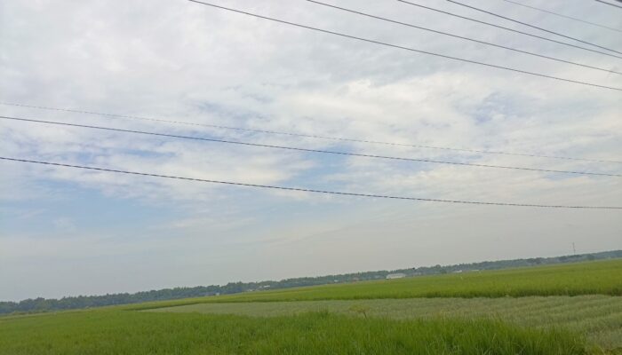 Pagi Cerah Siang Hujan, Ini Prakiraan Cuaca Bojonegoro 27 April 2026