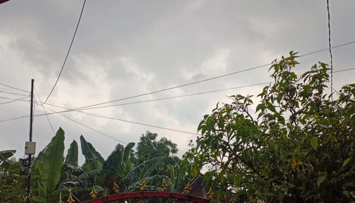 Cuaca Bojonegoro Hari Ini: Berawan dari Pagi Hingga Dini Hari