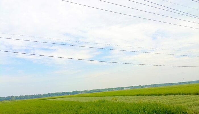 Prakiraan Cuaca Bojonegoro 30 April: Berawan Lembap Tanpa Cuaca Ekstrem