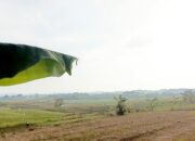 Cuaca Bojonegoro Hari Ini Berawan Seharian