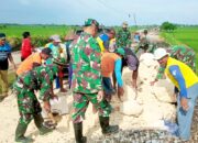 Aksi Nyata TNI di Lamongan, Sawah Kembali Hidup Berkat Irigasi