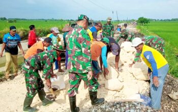 Aksi Nyata TNI di Lamongan, Sawah Kembali Hidup Berkat Irigasi