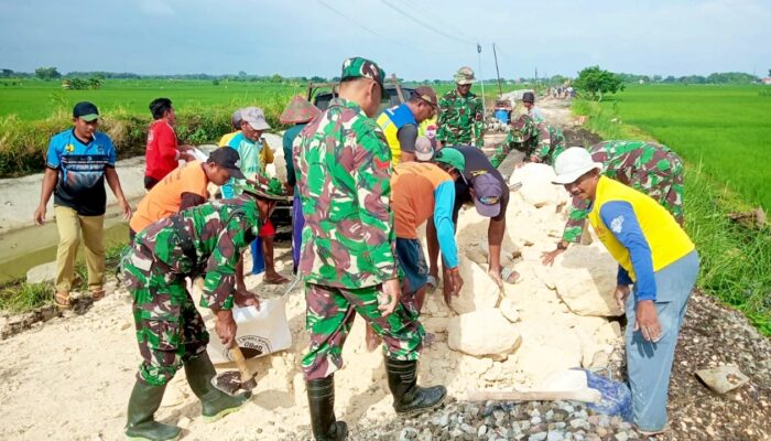 Aksi Nyata TNI di Lamongan, Sawah Kembali Hidup Berkat Irigasi