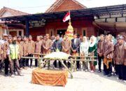 Meriah, Kirab Gunungan Sedekah Bumi Tondomulo Bojonegoro Satukan Ratusan Warga