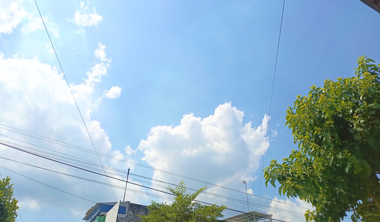 IMG 20260507 WA0012