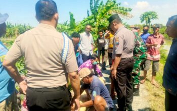 Sungai Rowo Warukulon Lamongan Jadi Lokasi Duka, Lansia dan Sepeda Ditemukan Mengambang