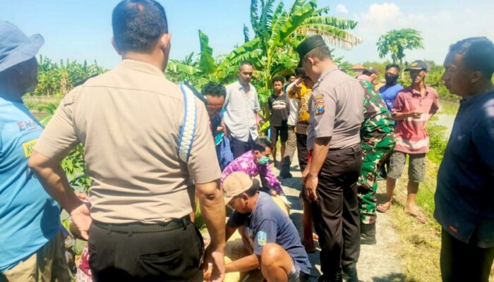 Sungai Rowo Warukulon Lamongan Jadi Lokasi Duka, Lansia dan Sepeda Ditemukan Mengambang